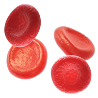 Glóbulos rojos normales 